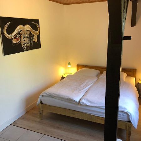Villa Orcas Léon Eksteriør bilde