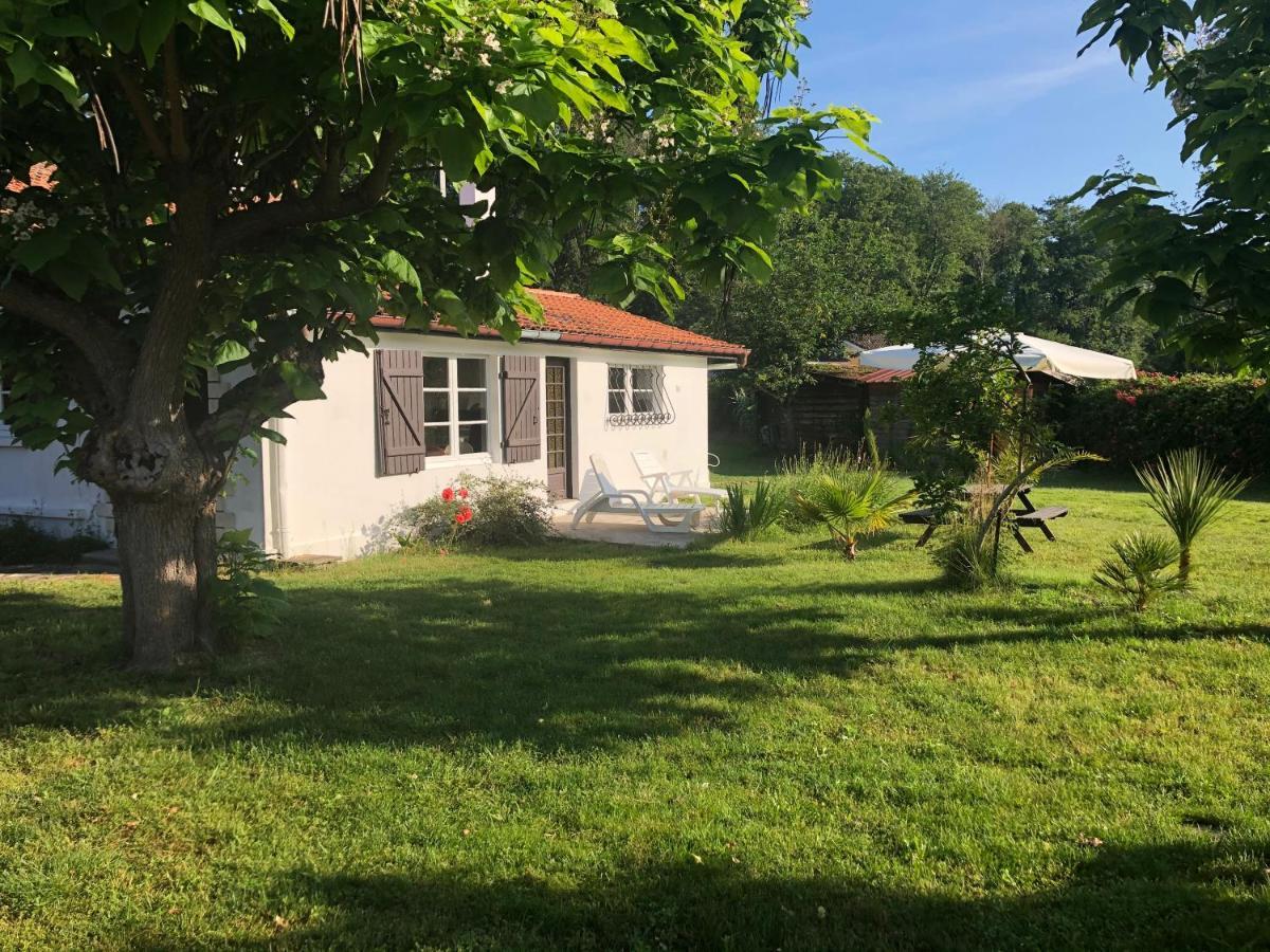 Villa Orcas Léon Eksteriør bilde