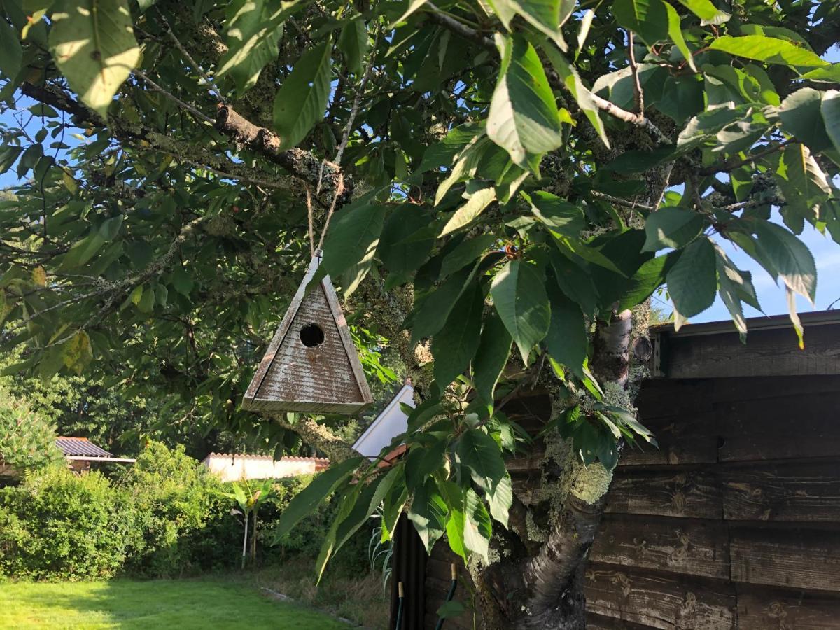 Villa Orcas Léon Eksteriør bilde