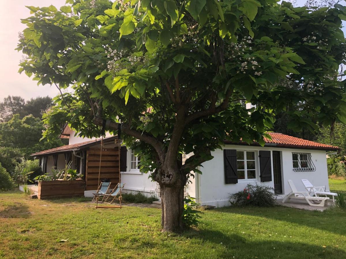 Villa Orcas Léon Eksteriør bilde